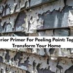 Best Exterior Primer For Peeling Paint
