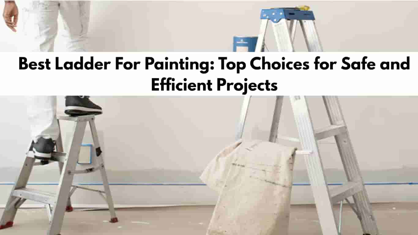 Best Ladder For Painting